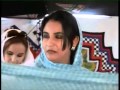 اجمل حفل زفاف صحراوي من الصحراء الغربية