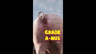 How To Steal Piggies In Chivalry 2