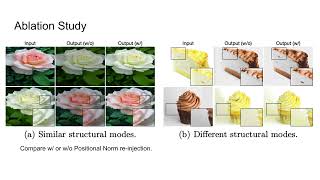 Boyi Li: SITTA: Single Image Texture Translation for Data Augmentation