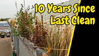 Its Been 10 Years Since This Gutter Was Cleaned
