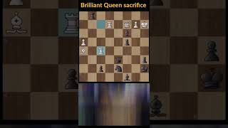 Magnus Carlsen Brilliant Moves