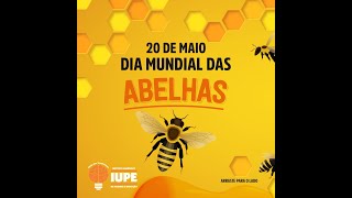 Dia Mundial das Abelhas