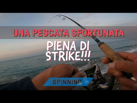 Una pescata sfortunata! SPINNING INSHORE PRIMA BATTUTA DELLA STAGIONE - seconda parte