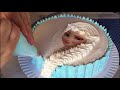 Confeitando Bolo Da Frozen C Papel Arroz Eial Confeitando Bolo Da Frozen C Papel Arroz Eial