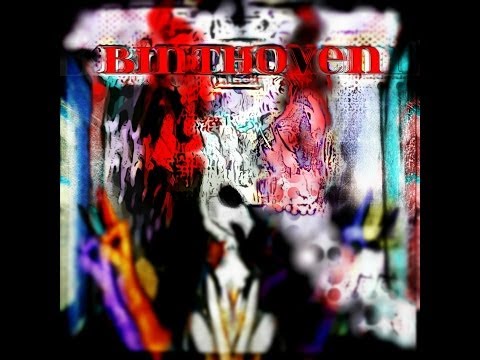 On1 Binthoven Video