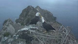 09-22-18 West End eagles; Superman and Thunder, sticky decisions.