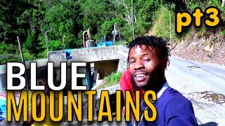 Kino And Friends Still An The Journey To The Blue Mountains (Pt3) | EP689 | JAMAICA GOOD LIFE 🇯🇲
