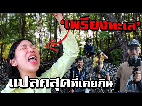 ระนอง - 'เพรียงทะเล' ยาวสุด แปลกกกสุด! | The STRANGEST food in Thai mangrove