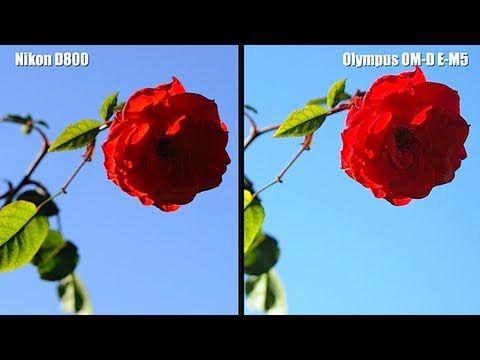 NIKON D800 vs OLYMPUS OM-D E-M5 - SHOOTOUT VIDEO