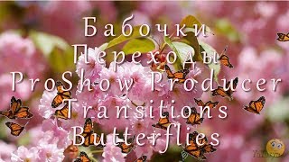 Переходы Для Proshow Producer - Бабочки