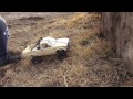 RC ADVENTURES - Black Widow & Trail Finder 2 hit the Rock Pile!