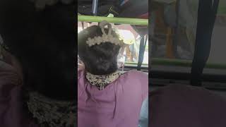 Heavy Bus Crowd And Traffic Jam Today Real City Struggles