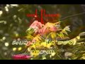 Download ratha saptami greatness(aalayavani web radio programme on 17-02-2013) MP3 song and Music Video