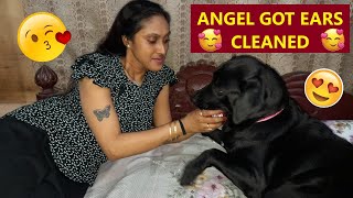 Angel Had Ear Infection Dad & Mum Cleaned Her Ears Watch The Funny Video Till The End...