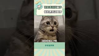 銅雀春深鎖二喬鎖的原來這二喬啊