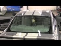 How to Tint a Mustang Back Window