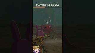 Pauvre Fantôme De Ganon