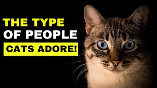 7 Traits Cats Love In Their Favorite Humans