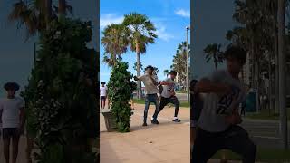 Crazy Bushman Reactions Of Man Punch