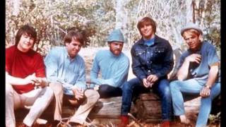 Watch Beach Boys Were Together Again video