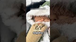 Bu Ebeveynler Deli̇rmi̇ş Mi Yoksa Dahi̇ Mi?