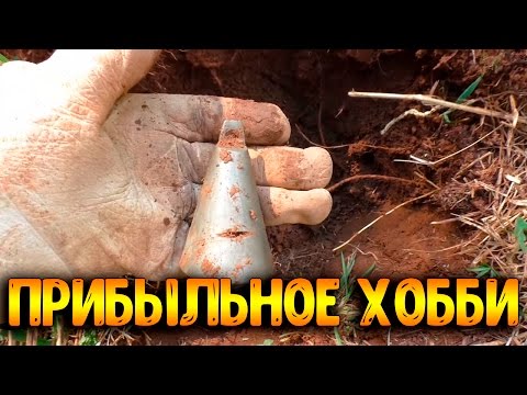 Как найти прибыльное увлечение которые сделает вас богатым Как найти прибыльное увлечение которые сделает вас богатым