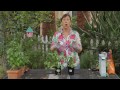A Plant Spacing Guide for Cilantro in a Square Foot Garden : Garden Space