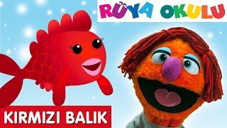 Kırmızı Balık  - Çocuk Şarkısı - Çizgi Film Şarkısı Türkçe - RÜYA OKULU