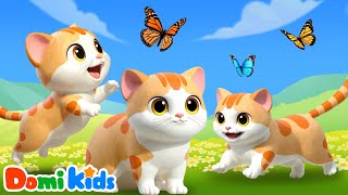 My Naughty Furry Catanimals For Kids Animal Songs, Nursery Rhymes Domi Kids Animal Party