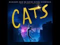 view Jellicle Songs For Jellicle Cats