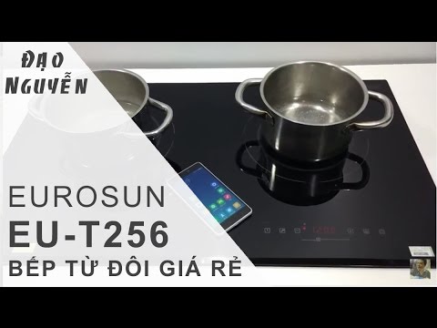 Đánh giá bếp từ EuroSun EUT256 giá rẻ thiết kế tốt Đạo Nguyễn