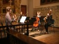 Quinteto para trompa y cuerda - Mozart KV 407 1º tiempo