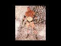 WCW: Goldberg Theme Extended | @SonYaban @SonYabanTube