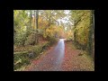 Alison Moyet - Filigree