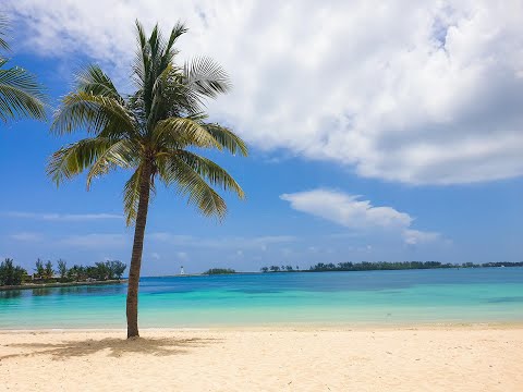 Escape to Paradise: Why the Bahamas Should Be Your Next Trip! 🏝️✨