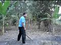 Man sneezes out animals