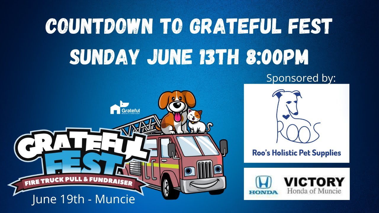 Countdown to Grateful Fest