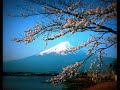 what is shinto?