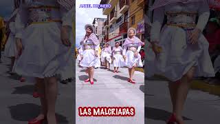 Las Malcriadas Y Sus Muy Bellas Comparsas Que Dejan Huella