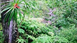 Hippie Trails Hanakapiai Valley And Falls Kauai