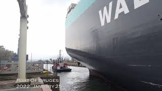 BIAMP - 2021-01-25 - Thalatta - Melbourne - Zeebrugge