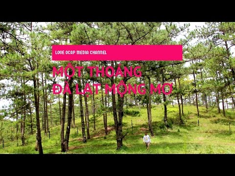 Một thoáng Đà Lạt mộng mơ | Du lịch Đà Lạt | Sunnydoan