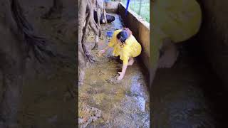 Lady Cleans Up Cow Poop By Hand