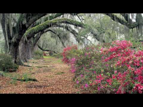 April is in my Mistress' face - Thomas Morley