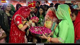 सचर क सबस Highlight शद Dr. Mahesh Weds Indra Bishnoi Wedding Song Kailash Bishnoi