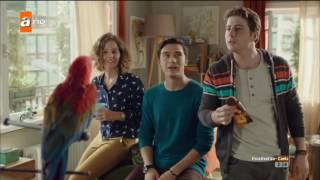 8 Kek Papağan Reklamı 2016