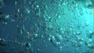 Il Respiro Sommerso - LIFC e FIPSAS Il Respiro Sommerso - LIFC e FIPSAS