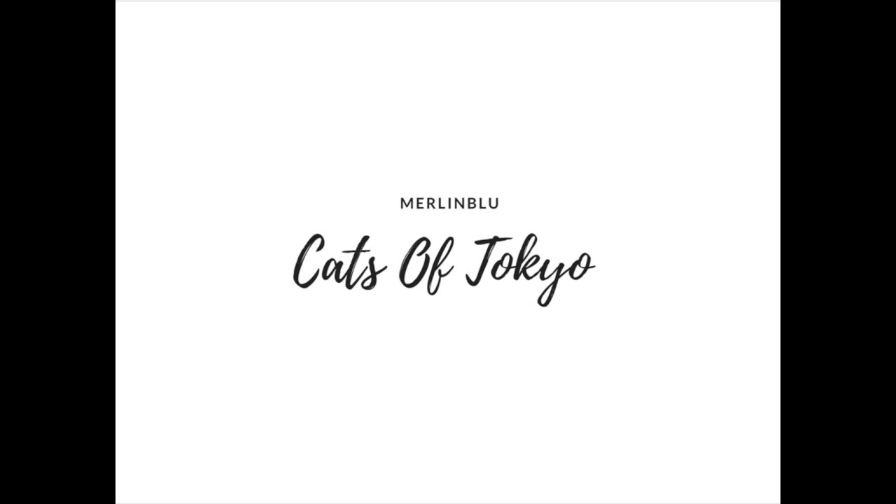 Merlinblu Videos