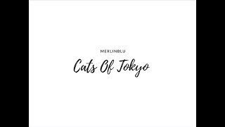 CATS OF TOKYO