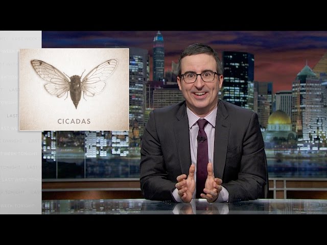 John Oliver Explains Modern Times To Cicadas From 1999 - Video